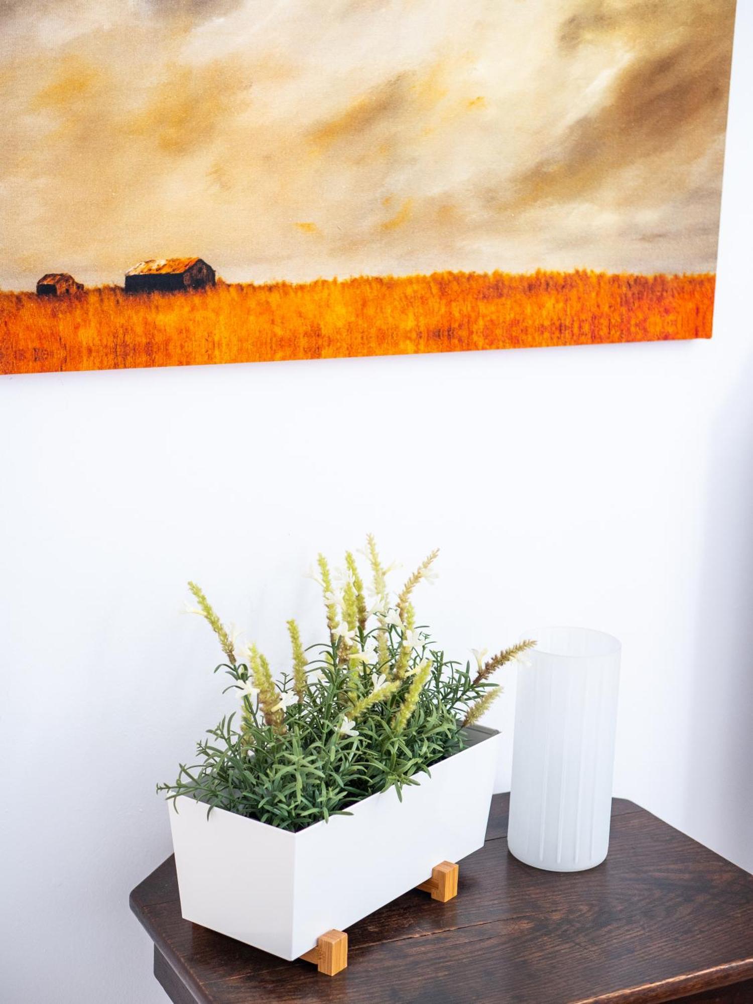 Ferienwohnung Casa Olina Bahia de Casares Zimmer foto